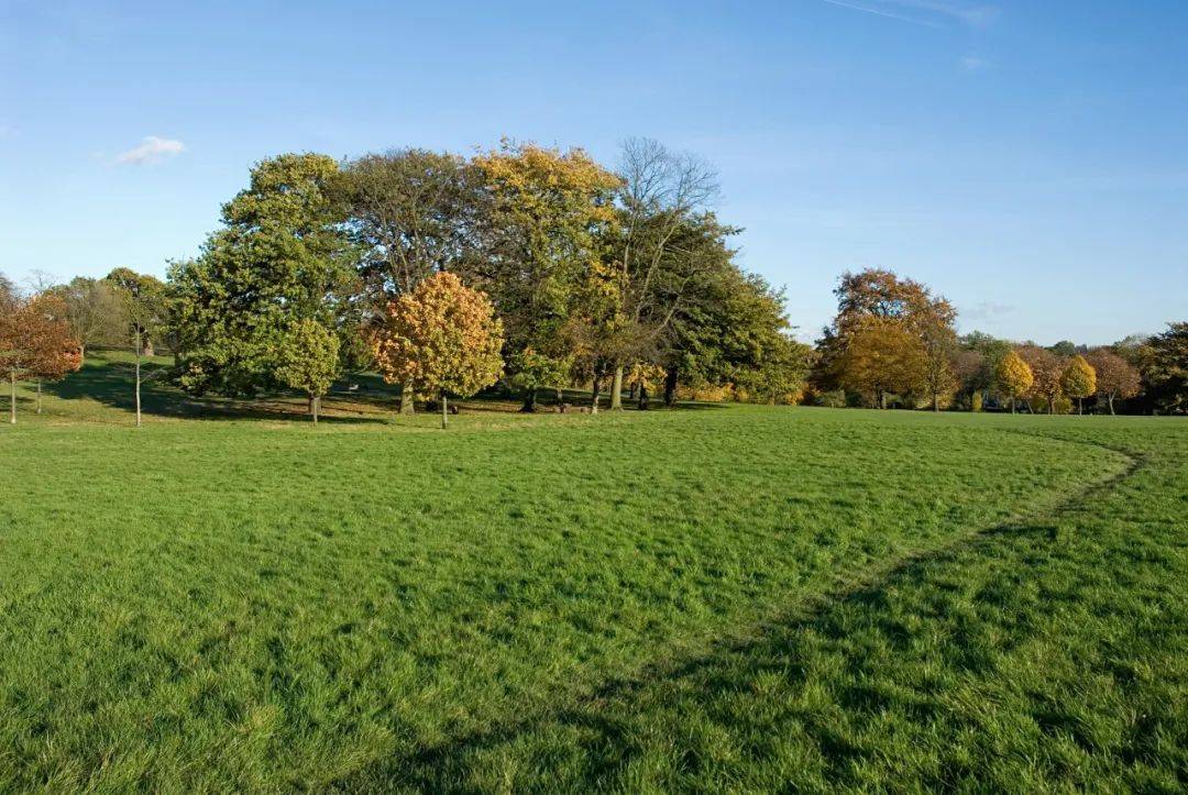 狮城值得去的5大宝藏公园!收藏起来慢慢去打卡