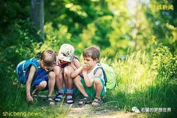 拿著鏟子、放大鏡、昆蟲觀察箱,帶娃去新加坡昆蟲森林冒險