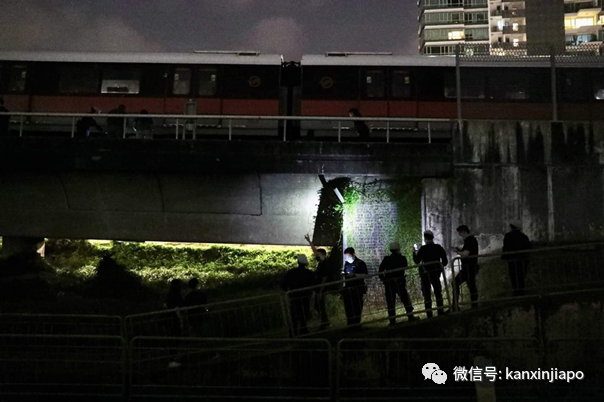 31岁男客工夜闯地铁轨道，惨遭列车撞死！新加坡交通部长沉痛哀悼