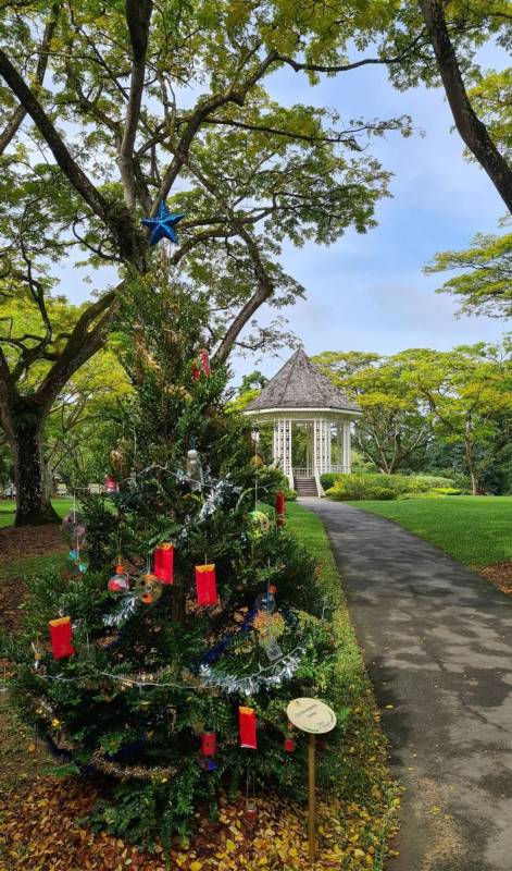 不喜歡人擠人？來新加坡植物園看聖誕燈飾、“世界之樹”吧！入場免費