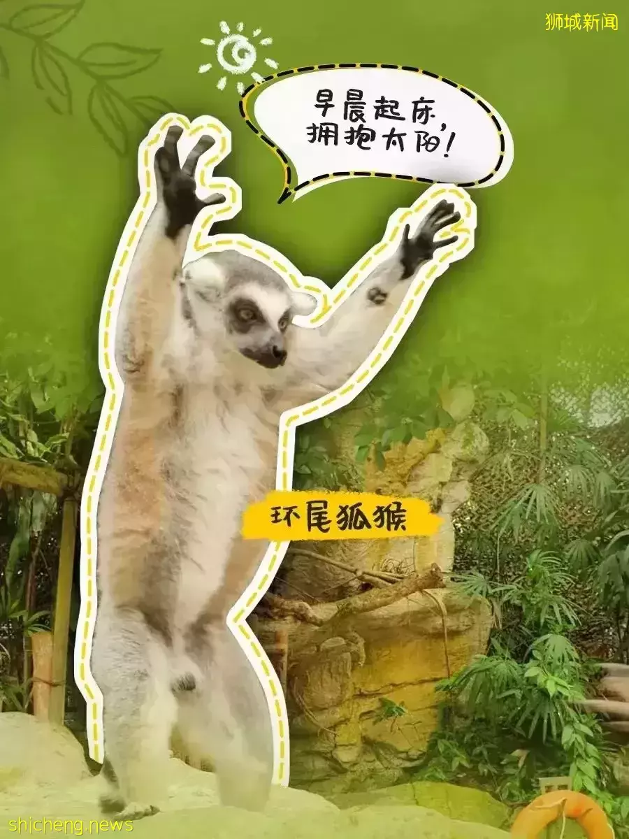 又是想去新加坡旅游的第N+1天！先收藏这份‘新加坡旅行攻略’来解馋吧