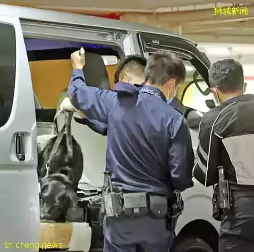 货车与警追逐撞2车 白发司机跳车赤脚逃