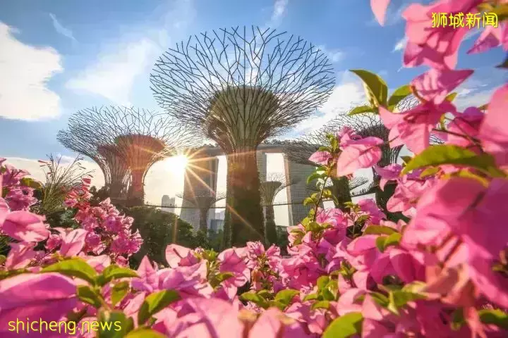 在新加坡生活成本真的有這麽高？帶你重構生活想像