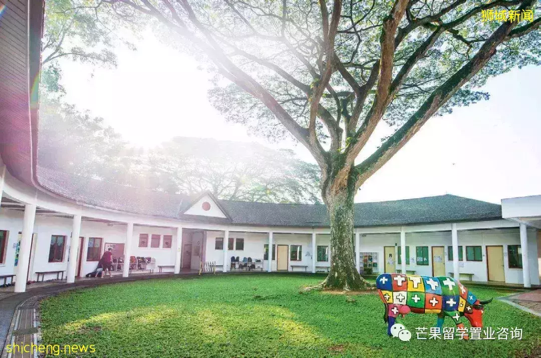 为什么学生会选择留在新加坡就业