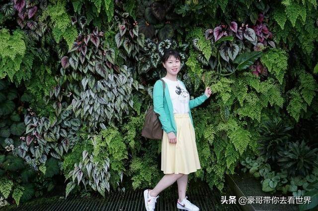 豪哥帶你看世界：新加坡不枉此行的12大看點（下）分三集介紹