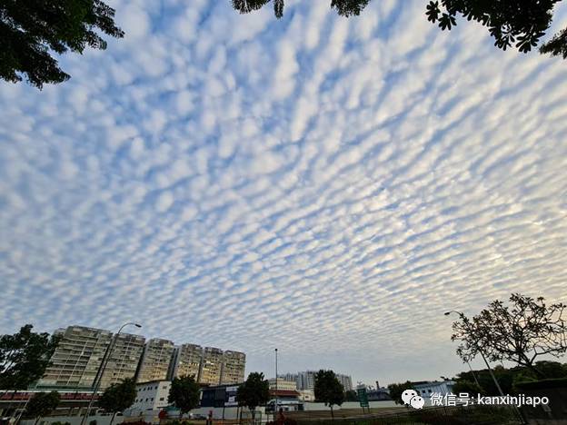 “地震雲”昨早刷爆朋友圈！很少看過這麽“怪異”的朝陽