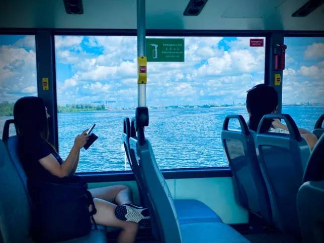 爆赞!新加坡10条最美巴士线路,花最少的钱玩遍全岛