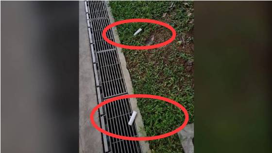 新加坡组屋区卫生巾、纸巾频频从天而下,难道又被野鸡占领