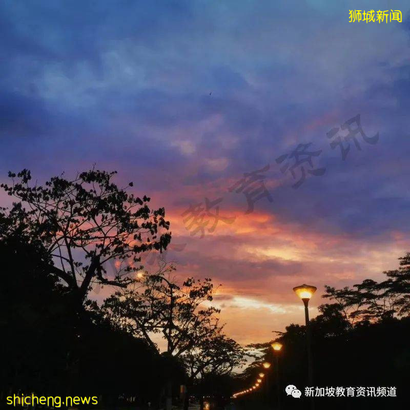 NTU·风景成诗 我的新加坡留学生活