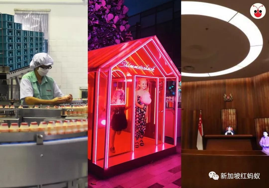 见证养乐多制造过程、亲临法院听审......狮城旅游最新打卡点