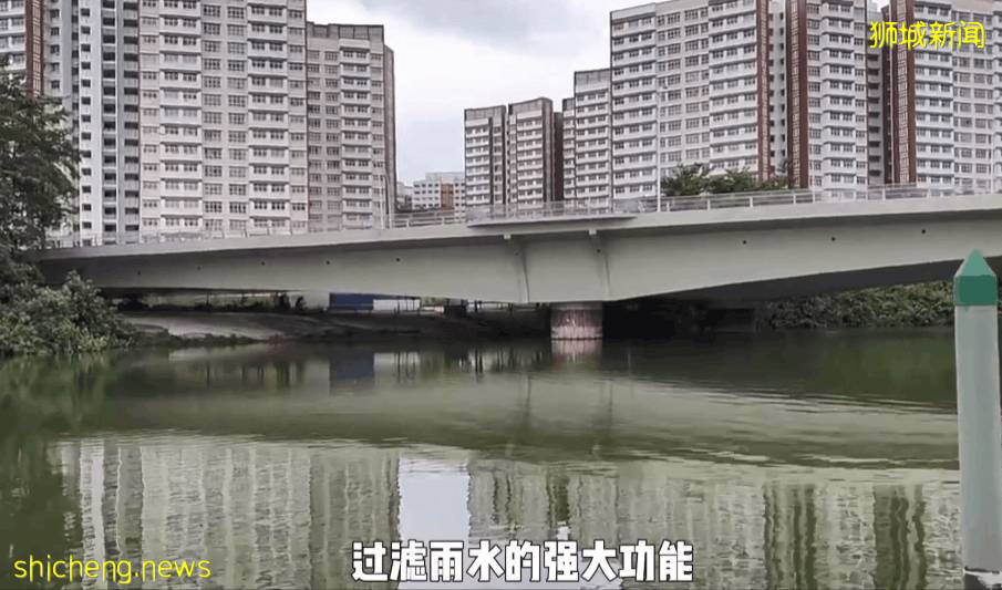 疫情不再宅家!新加坡10个超美户外蓄水池走起~人少风景好