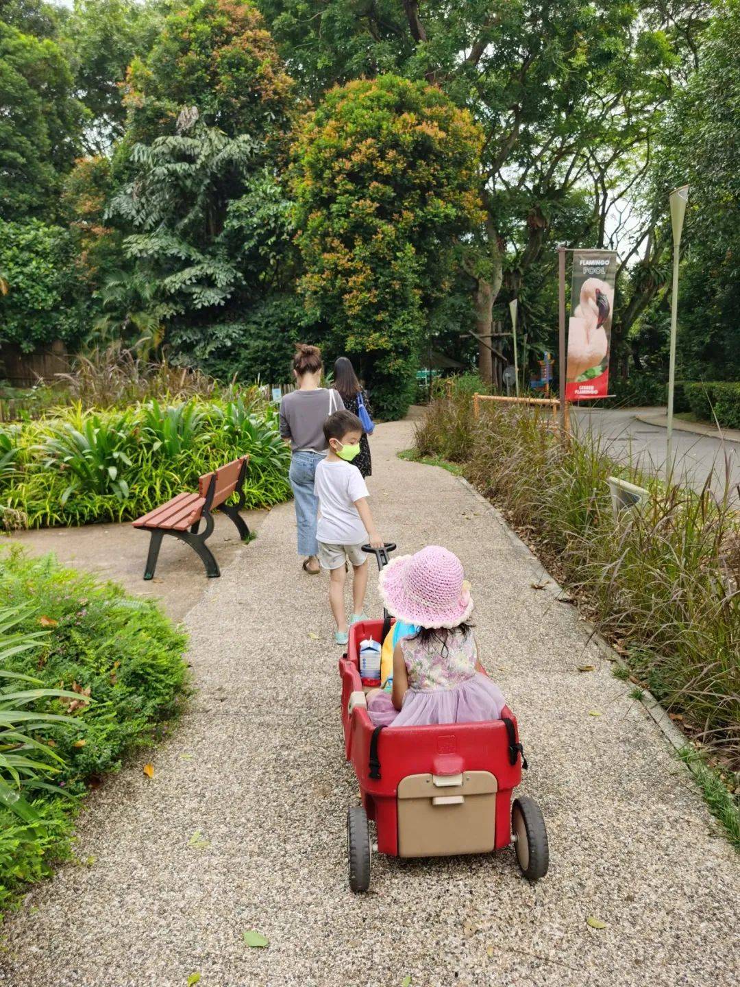 免費送票!帶倆娃嗨翻亞洲最大飛禽園,400多種5000多只鳥,一路驚喜不斷