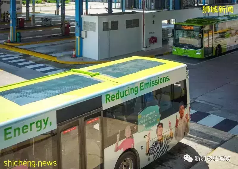 新加坡是全球太阳能密度最高的城市之一 这些位置竟有光伏板