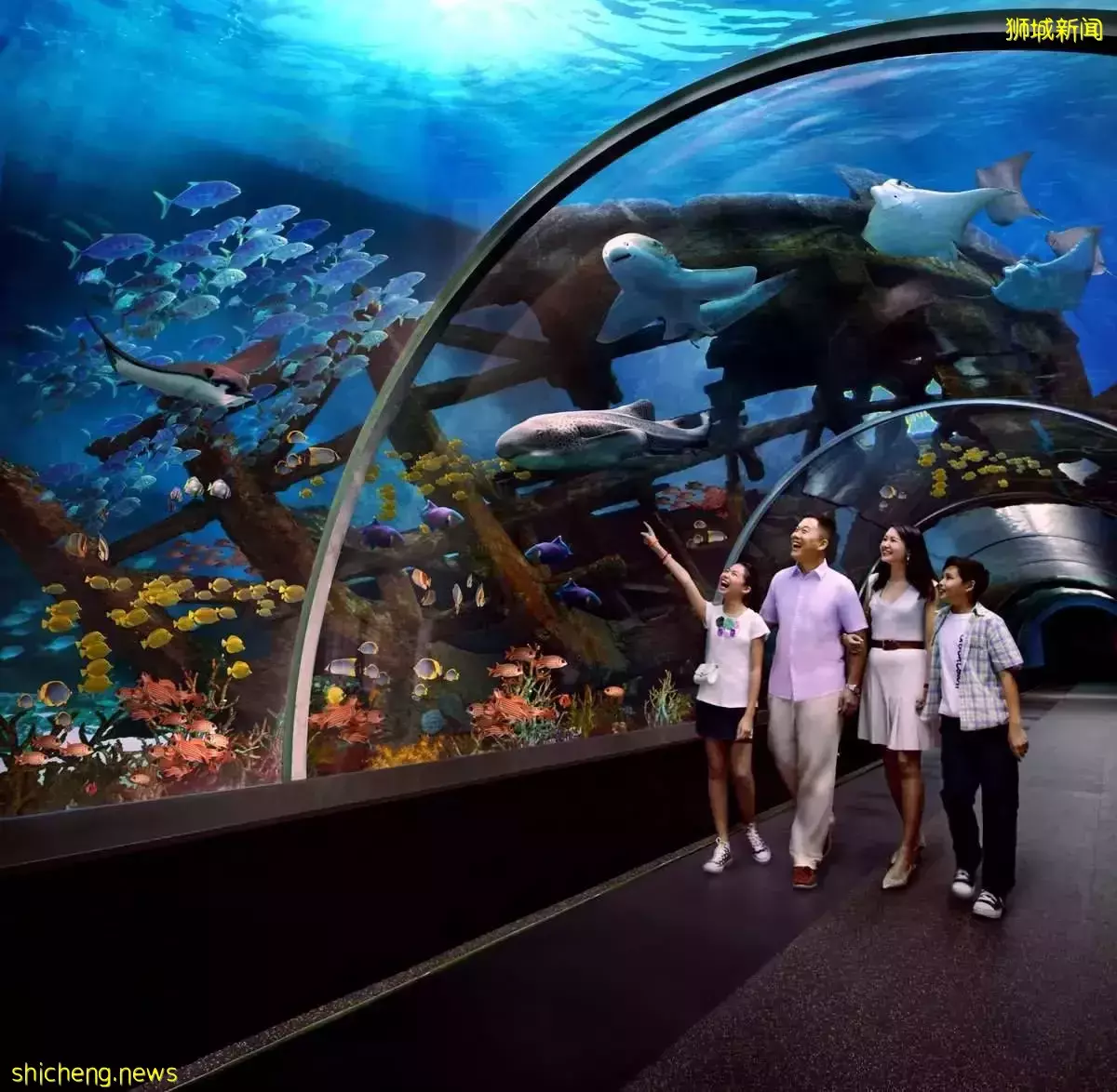 新加坡全面開放邊境，Go 旅城通票帶你暢遊《摘金奇緣》取景地