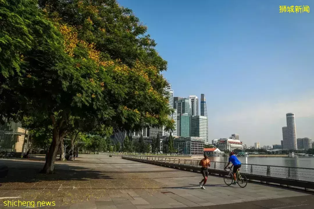 從新加坡市區至鄰裏,騎一趟時空交疊之旅