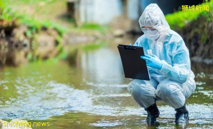 后港组屋的污水中发现新冠病毒碎片,全体居民强制检测