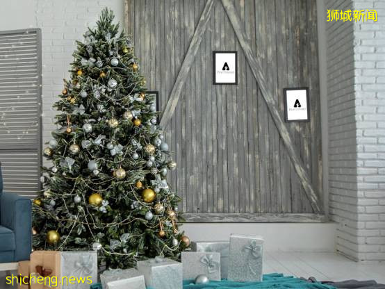 迎接溫暖聖誕季~新加坡這10個地方可以買到聖誕樹,快布置起來