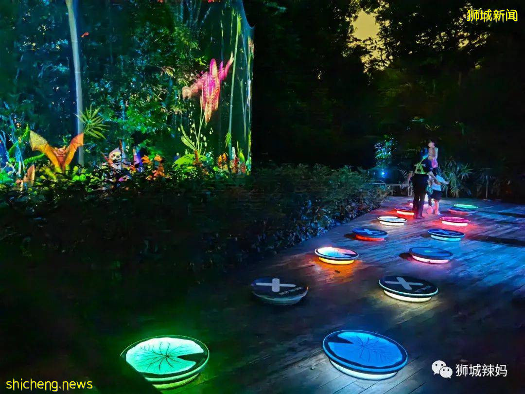 低至S$8！就3天！新加坡動物園“幻光雨林之夜”強勢回歸，亞洲第一夜遊體驗