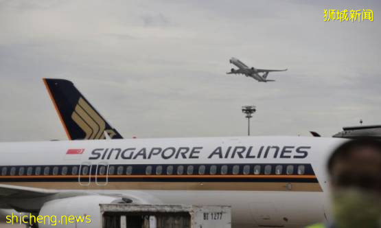 新加坡、印度互通边境!11月29日起,新印两国每天将开设六趟航班往返