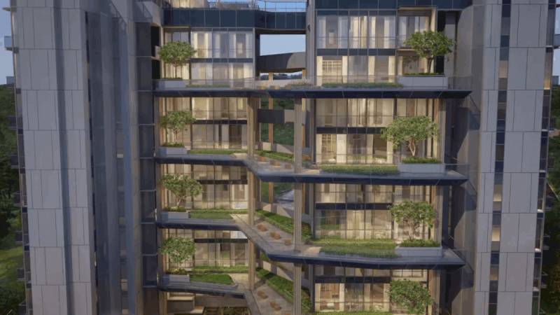 將自然引入城市:新加坡“花園城市”背後的故事