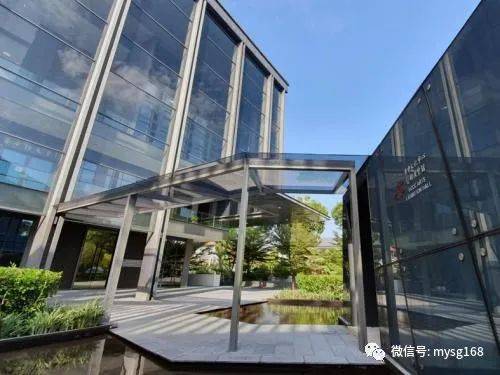 新加坡國際學校名校 華中國際學校