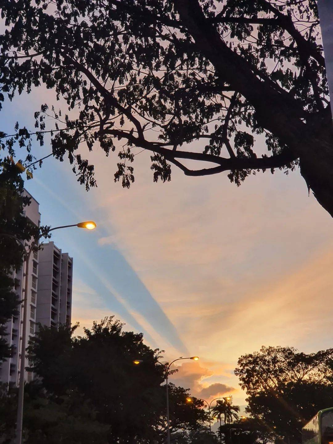 罕见!新加坡再现神奇天象,万道光芒从天空射下,50张美图刷屏