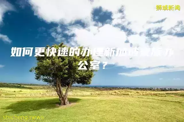 如何更快速的办理新加坡家族办公室