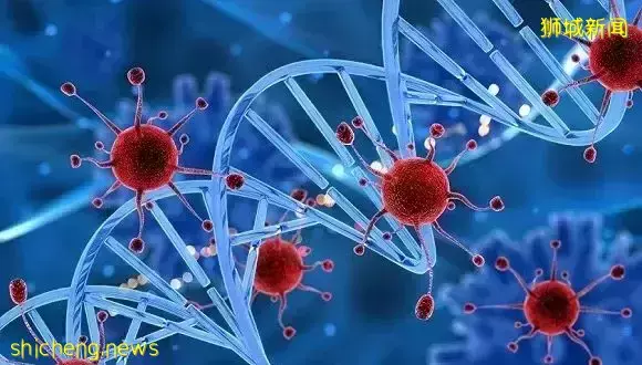 世衛警告!新變種“德爾塔克戎”誕生,毒性越來越強or越弱