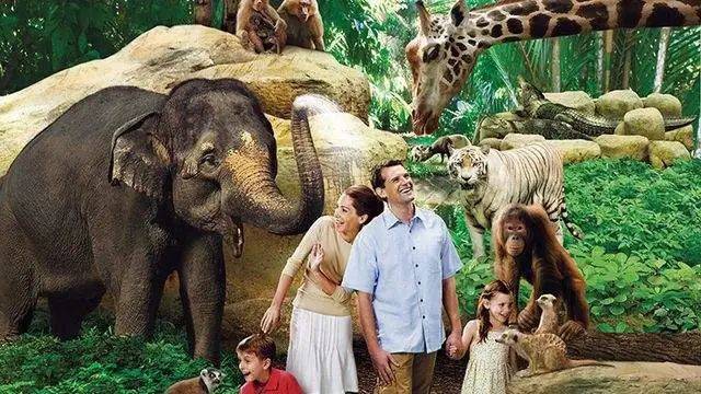 項目講解！新加坡移民