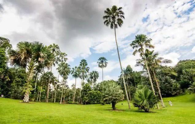 【周末去哪】218米觀景台免費,$12皮劃艇,5折耐克,母嬰特賣