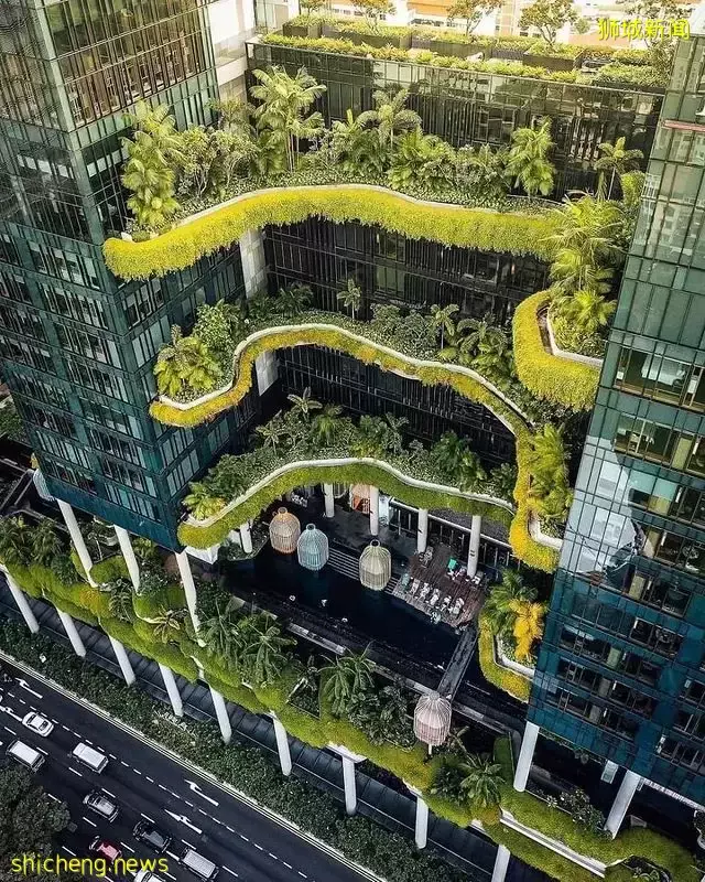 连假上哪里玩?入住PARKROYAL COLLECTION Pickering酒店享受情侣专属优惠~💕