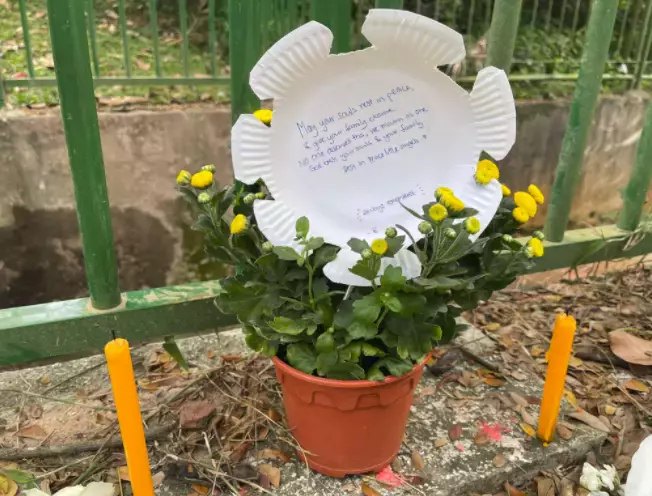 或死刑!新加坡亲父杀双胞胎,昨天正式被控!中国这个事也刷屏了