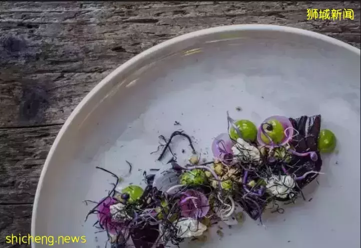 “世界上最偏遠的餐廳”一入新加坡位子售空，這家餐廳多魔性