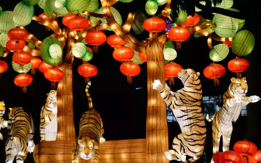 新加坡今年的“虎”點“彪”,居然“妩媚”地對我笑