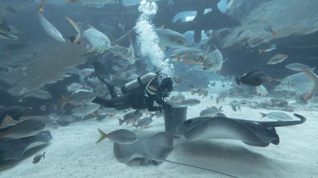 新加坡10天深度自由行，感受世界最嚴法律下的四大種族交融之地3