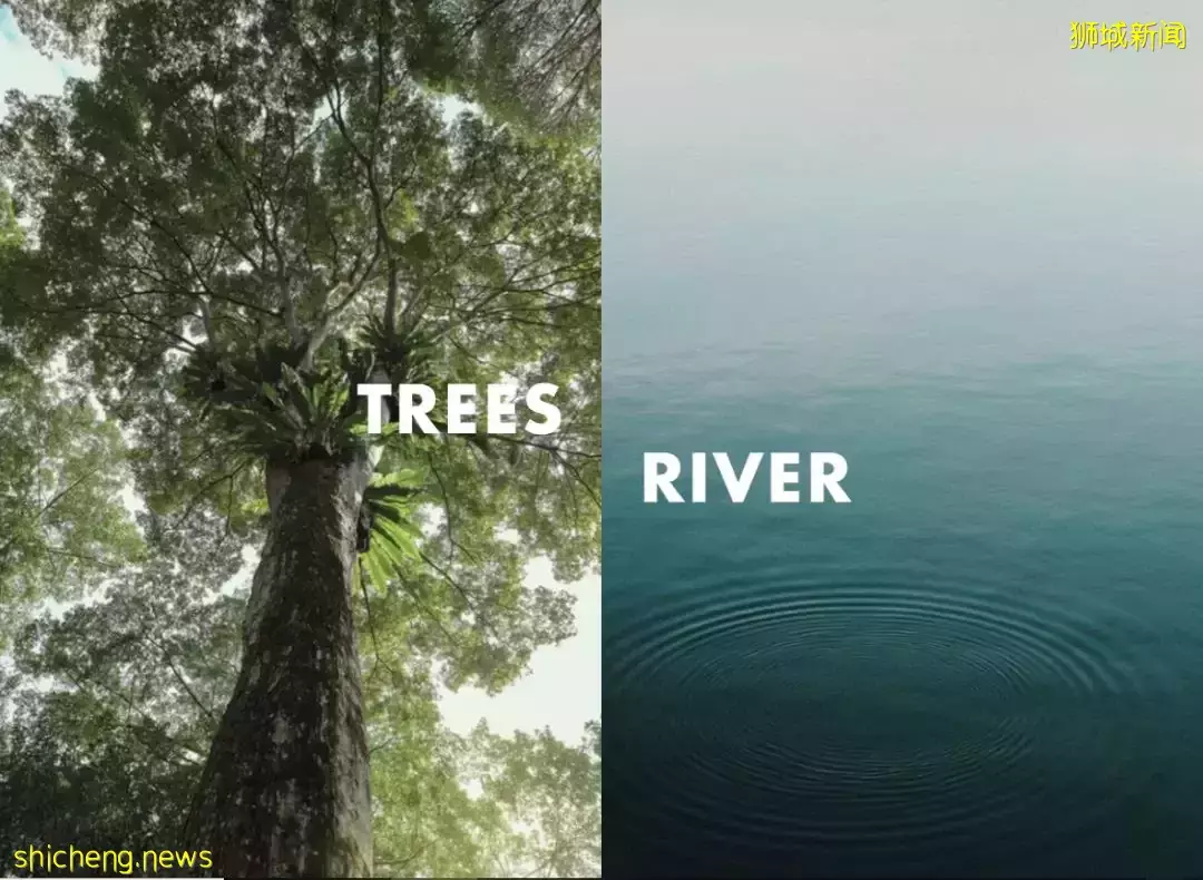 新加坡 The Tre Ver，波東巴西近地鐵樓盤，加冷河畔臨水而居，增值潛力巨大