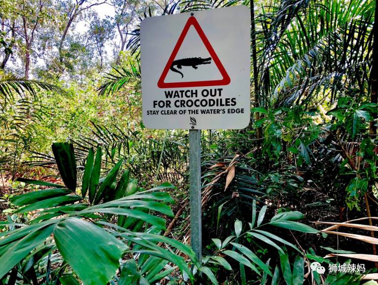 500种热带动植物免费看!超大蜥蜴、候鸟、鳄鱼,新加坡这地儿你肯定没来过