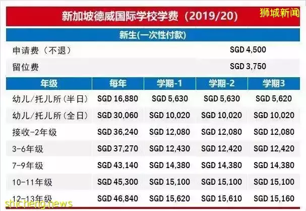 史上最強攻略!在新加坡如何選學校?國際學校vs政府學校,哪個好