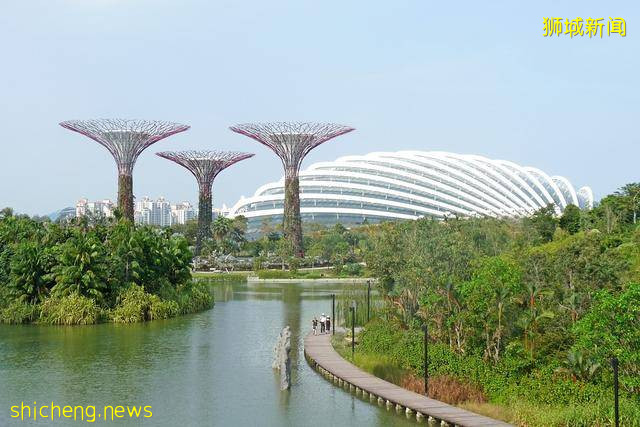 想要移民新加坡，家族办公室也是便捷的移民方式之一