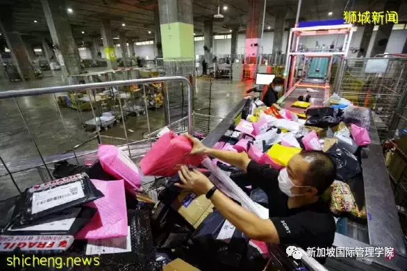 新加坡：新試點計劃讓消費者歸還網購包裝 減少浪費