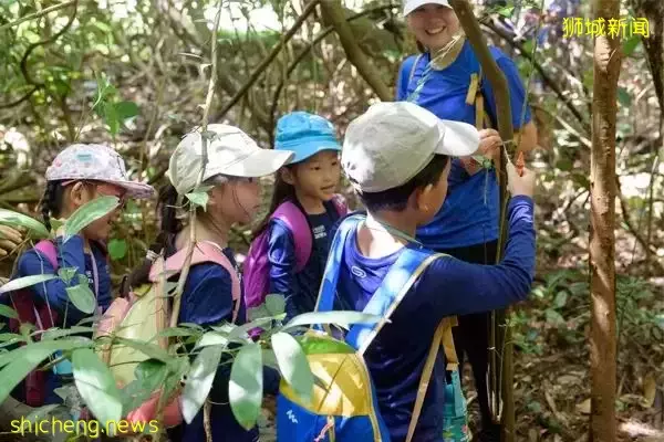 叢林探險、生存挑戰！新加坡戶外學校的6大假期營超級寶藏