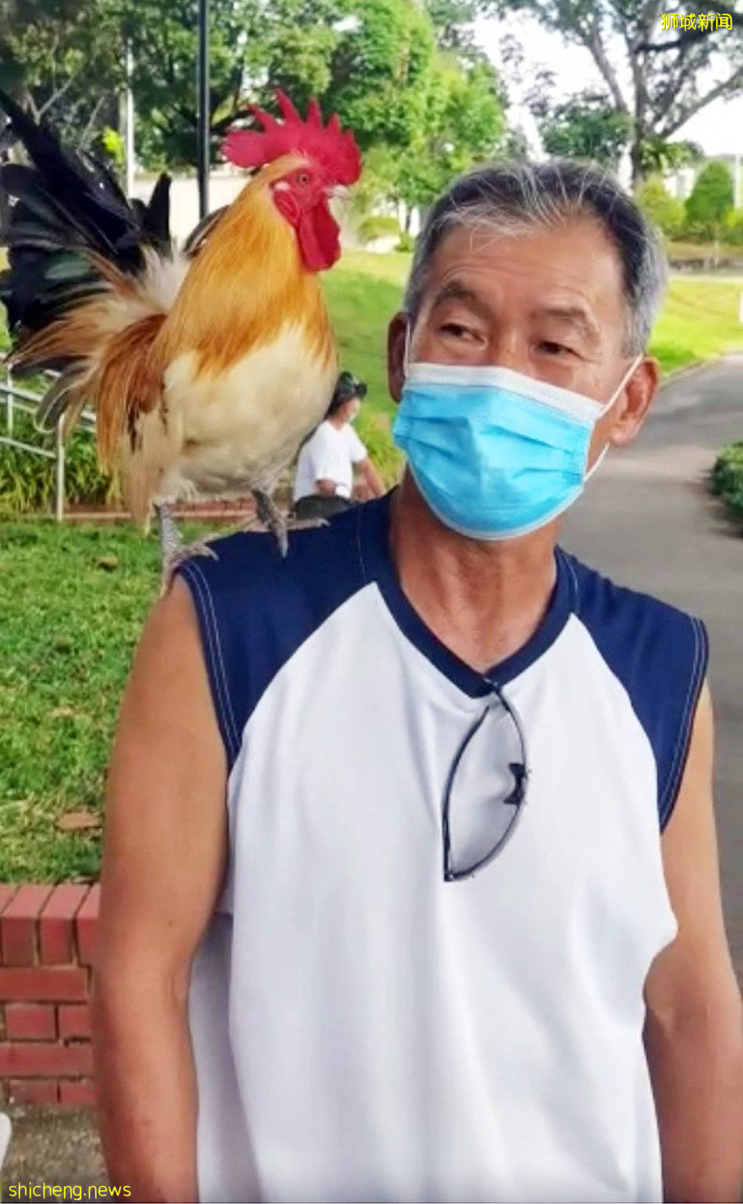 白公雞不跑 不吵 不鬧 男子踩腳車 遛雞