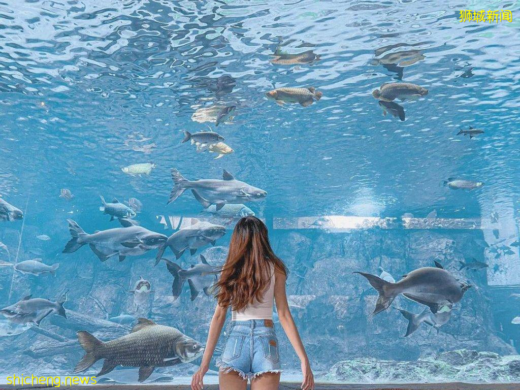 攻略收好、出發開啓親近動物之旅🦩從白天玩到晚上、10大景點近距離接觸小動物