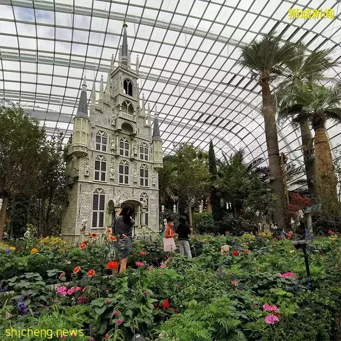 【去看看新加坡】体会不一样的“狮城”风情