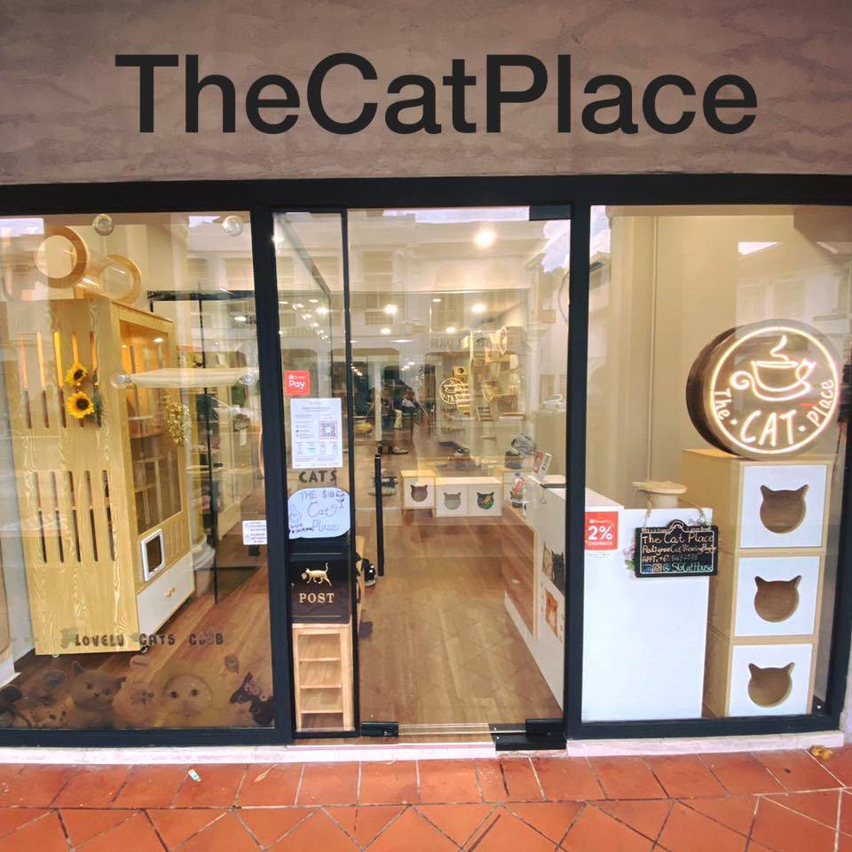 撸貓聖地🐈貓咪體驗館The Cat Place🐱現場沉浸吸貓,鏟屎官們必報到✨