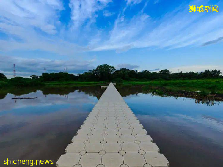 周末帶娃去徒步!10米高木塔、農場、木棧道,湖天一色好美