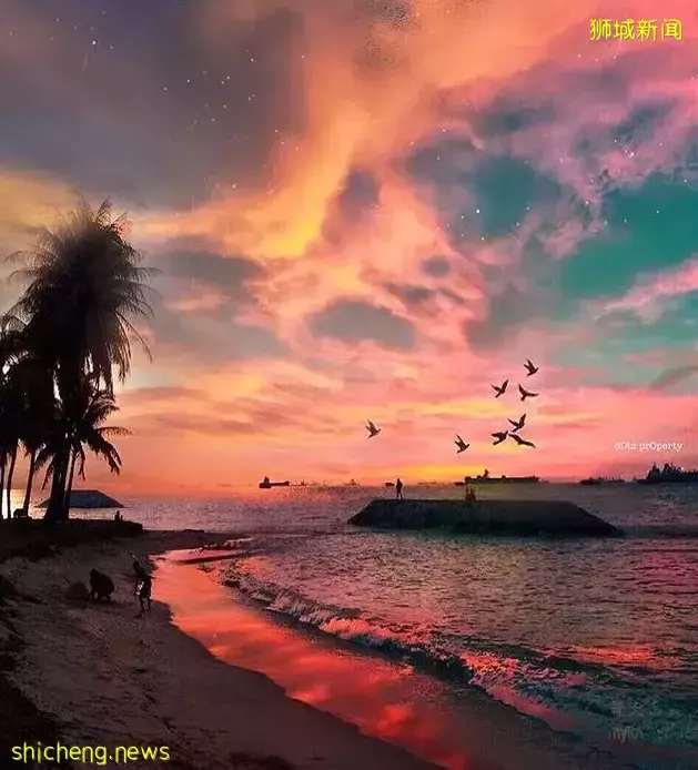 新加坡好玩的地方不少,有沒有很心動