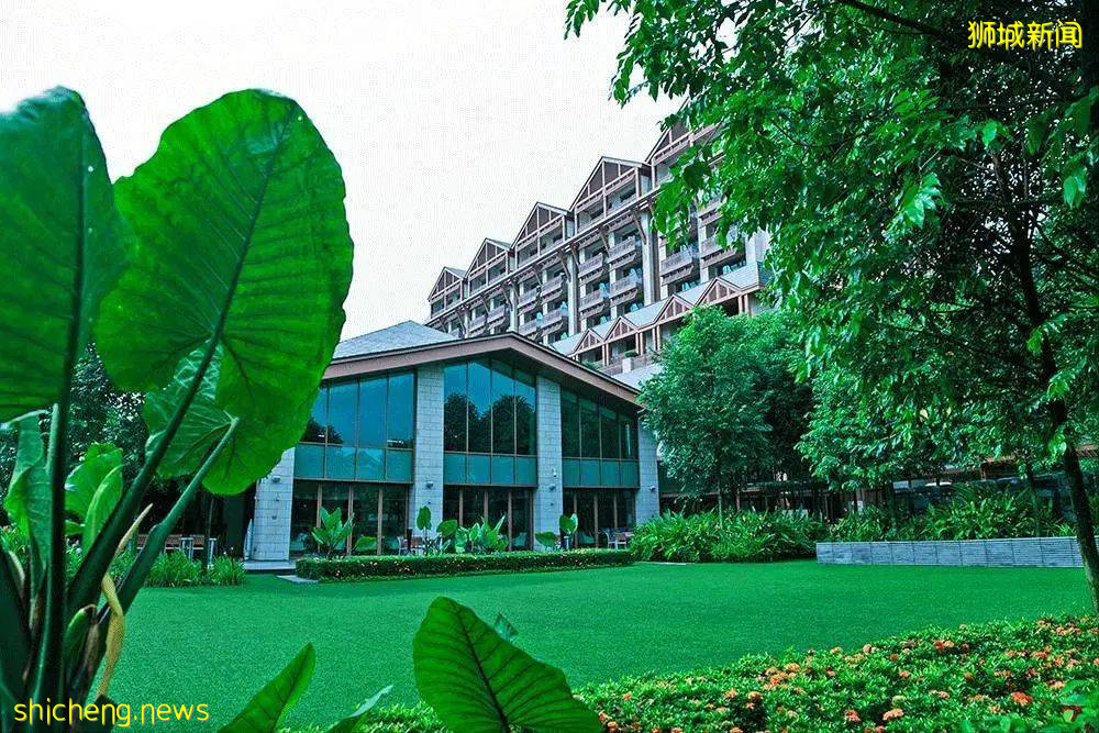 遊獅城 上天入海,多的是你不知道的新奇體驗