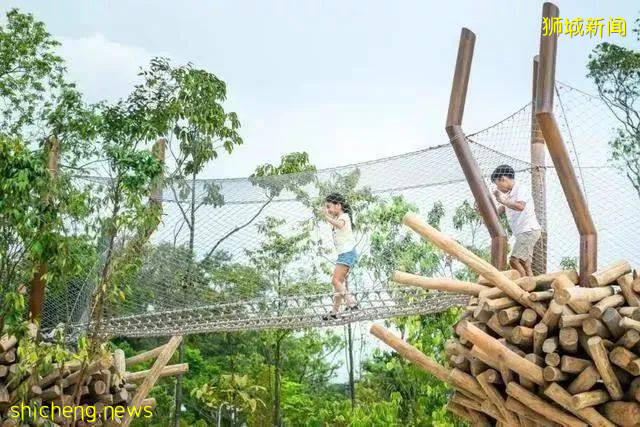 美到不行的裕廊湖畔花园,你不来打卡一下吗