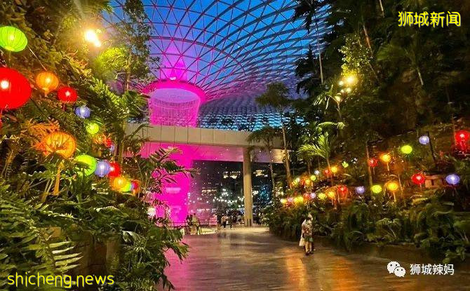 新加坡中秋節活動來襲，遍布全島！比中國還熱鬧